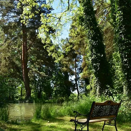 Hotel Parkhotel Frankfurt-roedermark Rodgau